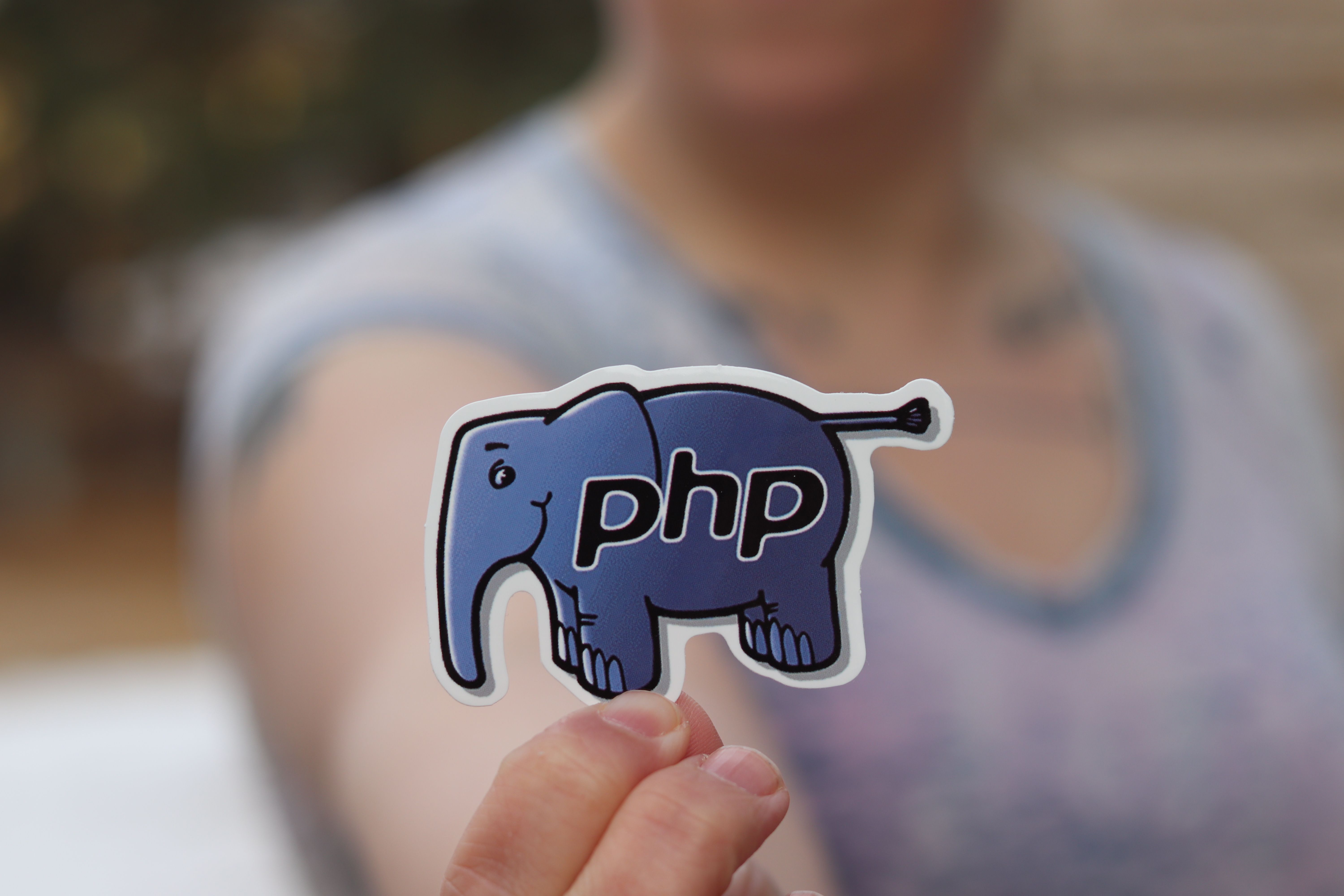 Professional PHP Website Development Company