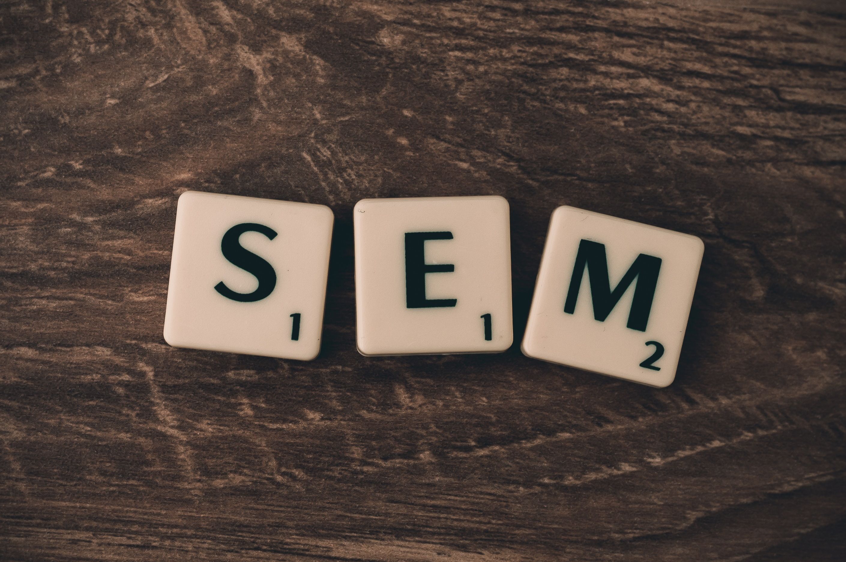 Professional Social Media Marketing Company in Delhi