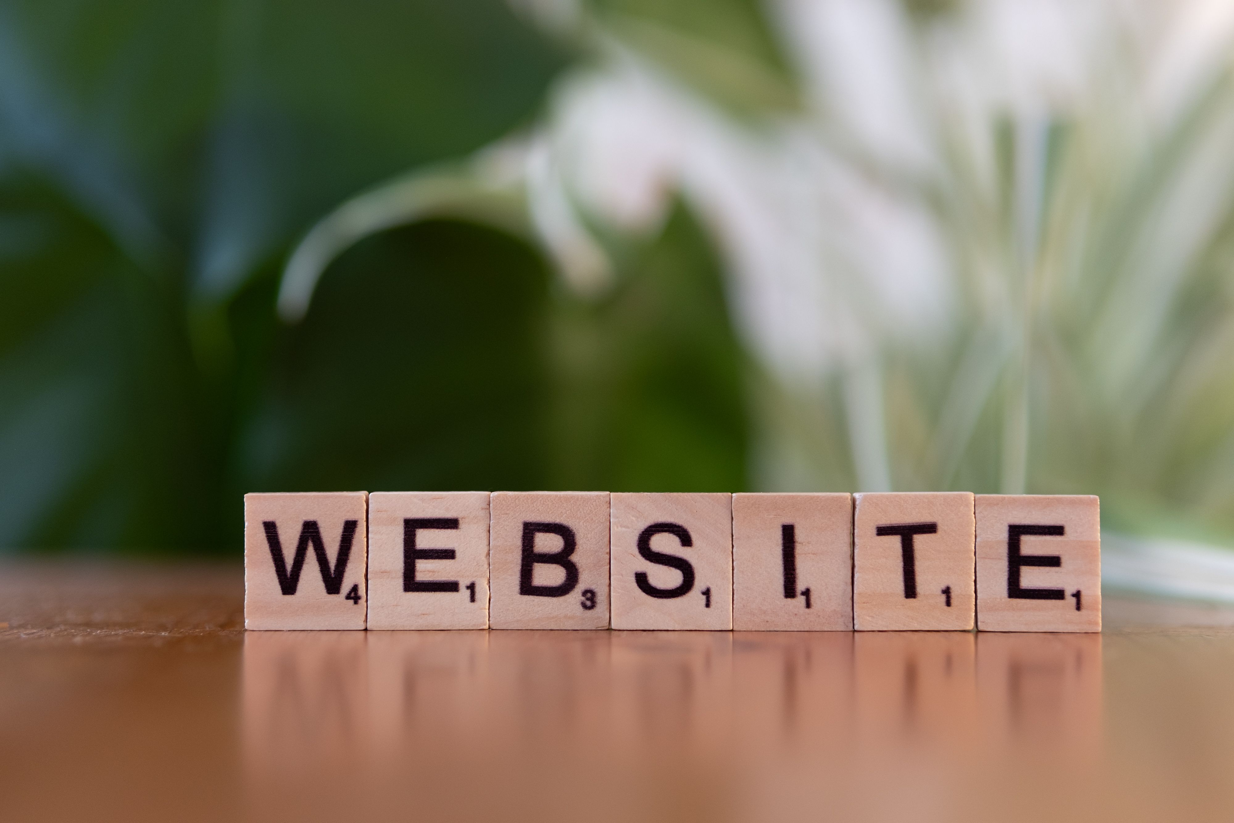Professional Website Support and Maintenance Services